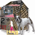 dog trotteur <span> mixed media on cutout plexiglas </span>