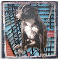 staff dog <span> mixed media on wooden  assembled  panels</span>